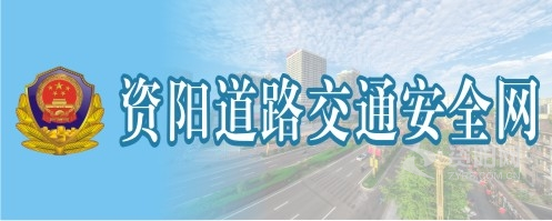 在线观看骚淫大肉棒资阳道路交通安全网